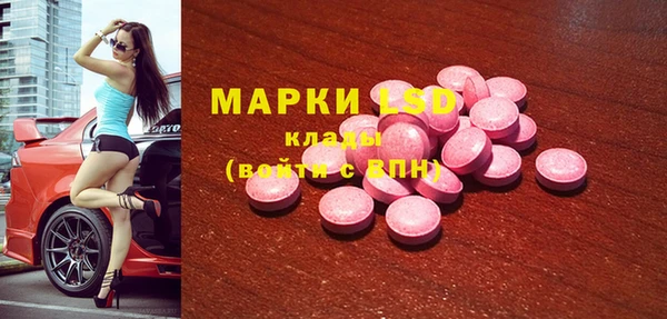сатива Вязьма