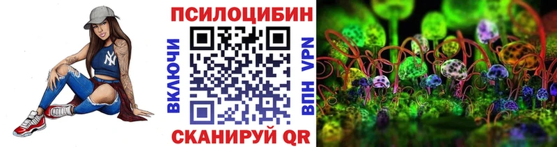 Псилоцибиновые грибы прущие грибы  Дмитриев 